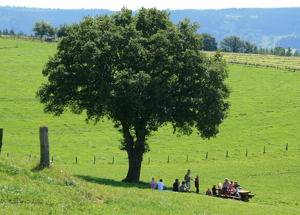 Accueil - Chèque Waloco - photo 30